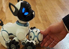 اسباب‌بازی‌های شامل هوش مصنوعی خطرناکند؟