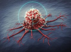 روش جدیدی برای درمان سرطان مستقل از سیستم ایمنی فرد!