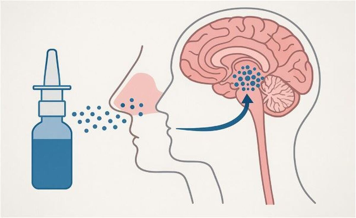 داروی جدید ابداع شده برای حذف تومور‌های مغزی به صورت استفاده قطره‌ای
