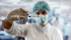 نابودی صد‌ها میلیون پرنده در سراسر جهان با پاندمی آنفلوآنزای H۵