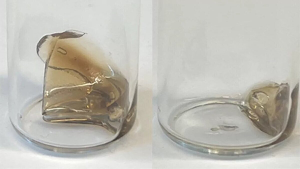 پلاستیک‌های جدیدی که سریعتر از نمونه‌های قبلی تجزیه میشوند!