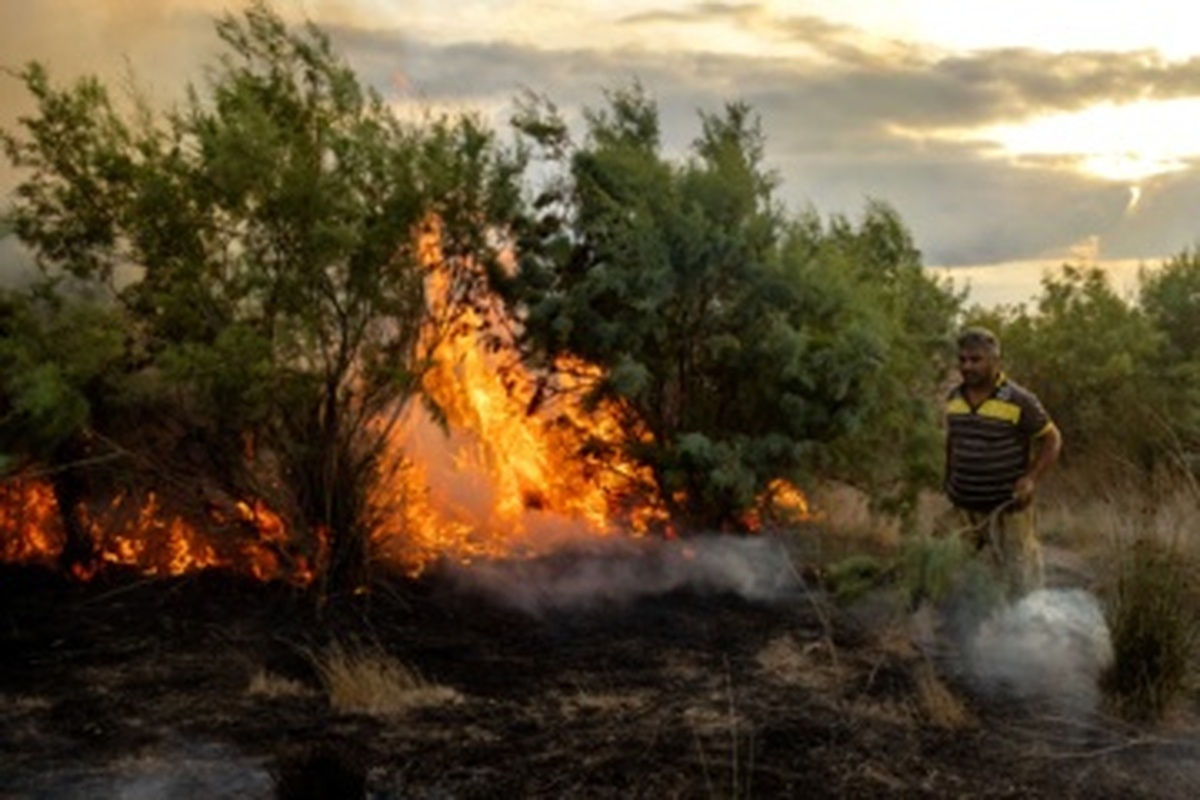 کاهش ۵۵ درصدی وسعت آتش‌سوزی‌ها در عرصه‌های منابع طبیعی کرمانشاه