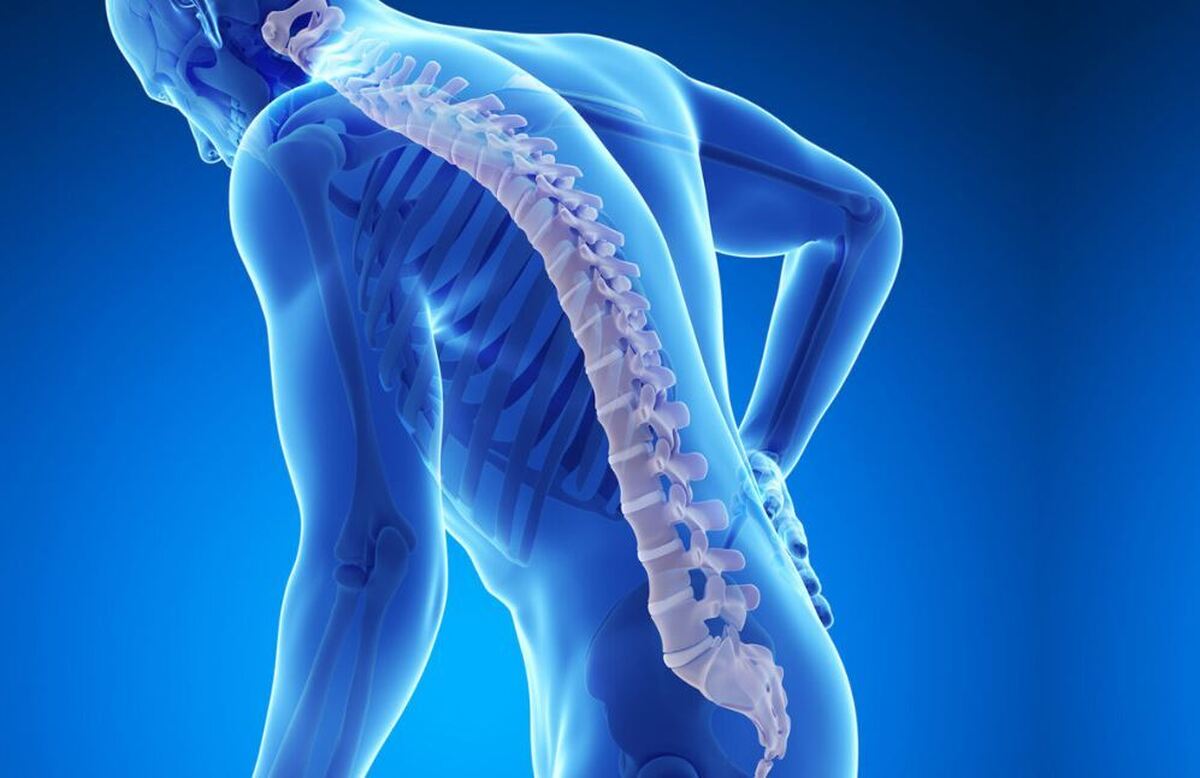 برخی از میکروب‌های روده ممکن است با سلامت اسکلت مرتبط باشند