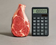 پرواز گوشت تا کجا؟