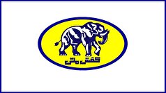 ورود دیوان محاسبات به واگذاری غیرقانونی ملک شرکت کفش ملی