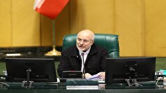 ماموریت رئیس مجلس به کمیسیون کشاورزی برای ارائه گزارشی درباره میزان اجرایی شدن قانون هوای پاک