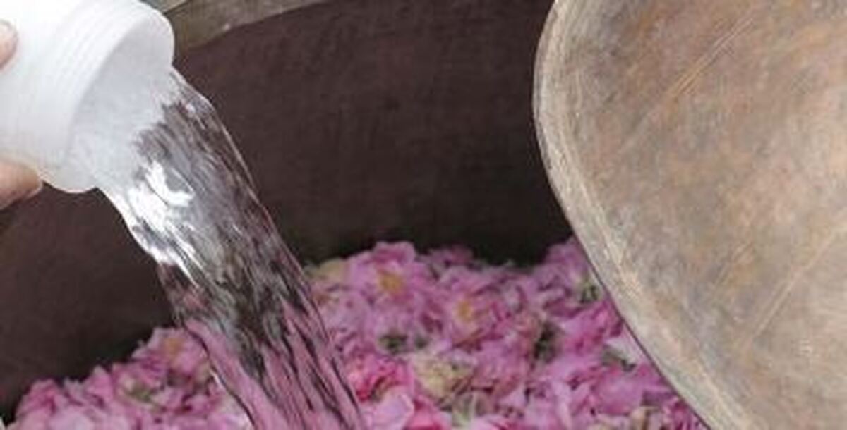 جشنواره گلاب‌گیری بانه ثبت ملی شد