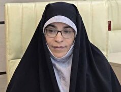 هویت بسیج فراتر از ساختار رسمی و تشکیلاتی است