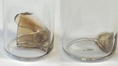 پلاستیک‌های جدیدی که سریعتر از نمونه‌های قبلی تجزیه میشوند!