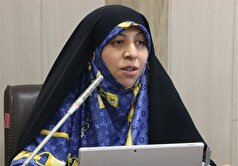 غفاری: رهبر معظم انقلاب بر توجه به حقوق زنان تأکید دارند