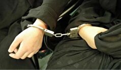 ۷ بازیگر سرشناس با ۳۸ لیتر مشروبات الکلی در یک مهمانی شبانه دستگیر شدند