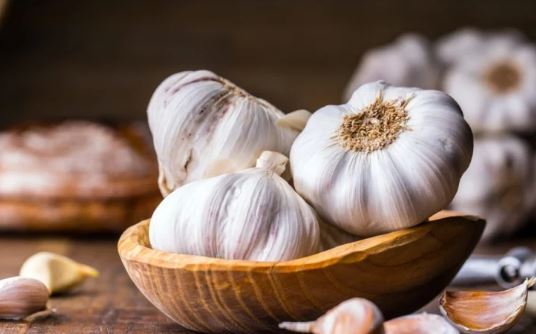 چگونه سیر درمان ۷۰ نوع بیماری میشود؟ چگونه سیر درمان ۷۰ نوع بیماری میشود؟