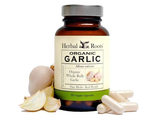 چگونه سیر درمان ۷۰ نوع بیماری میشود؟ چگونه سیر درمان ۷۰ نوع بیماری میشود؟