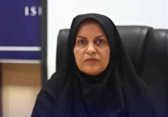 استفاده از ظرفیت تمامی دستگاه‌های اجرایی در پاسخ به آسیب‌های فردی و خانوادگی