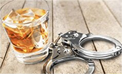 جزئیات بازداشت ۷ بازیگر معروف با مشروبات الکلی در یک پارتی شبانه