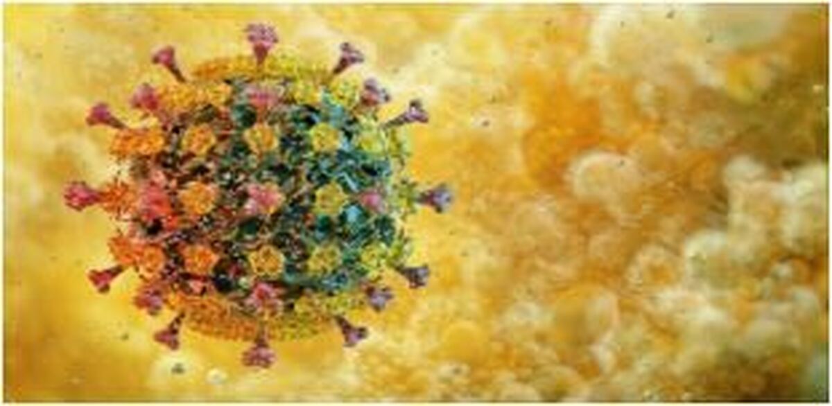 ویروس آنفلوانزای پرندگان مقاوم‌تر در برابر گرما و خطرناک برای انسان