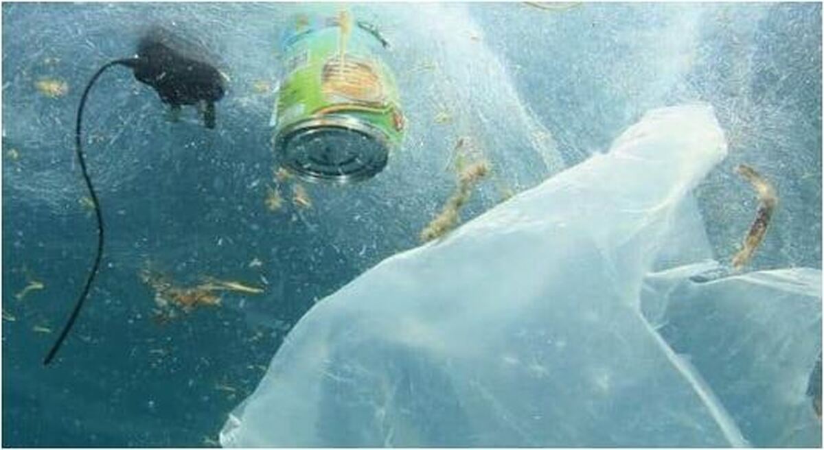 مدل جدید پلاستیک‌ها تجزیه پذیر‌تر شدند