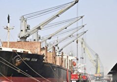 ذخیره سازی ۱۲۶ هزار تن گندم در استان خوزستان