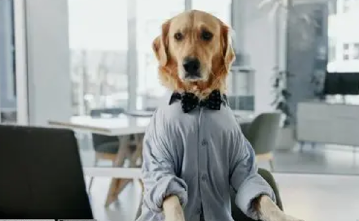 کشف ژن مشترک بین انسان و سگ‌های گلدن رتریور!