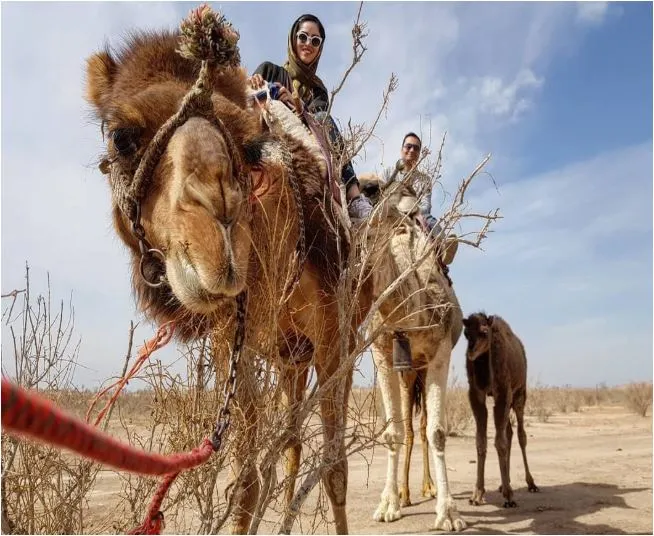 بازیگر