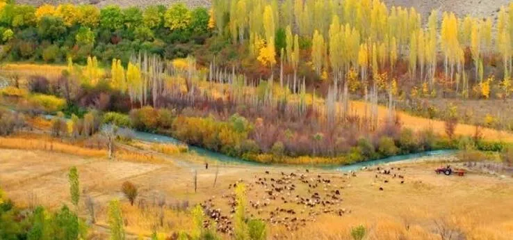 پاییزگردی نزدیک تهران؛ ۶ مقصد تماشایی برای دیدن هزار رنگ طبیعت