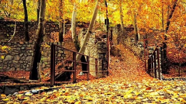پاییزگردی نزدیک تهران؛ ۶ مقصد تماشایی برای دیدن هزار رنگ طبیعت