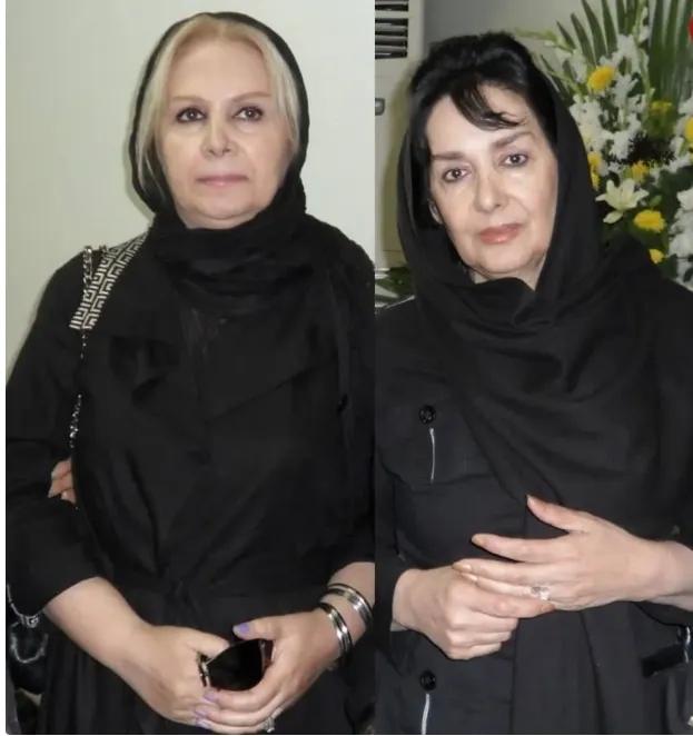 چهره و استایل با وقار آرام و شورانگیز طباطبایی در میانسالی پربازدید شد چهره و استایل با وقار آرام و شورانگیز طباطبایی در میانسالی پربازدید شد