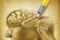 حل جدول و پازل؛ تمرینی ساده برای تقویت حافظه و سلامت مغز!