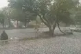 صدور هشدار نارنجی هواشناسی برای ۴ استان