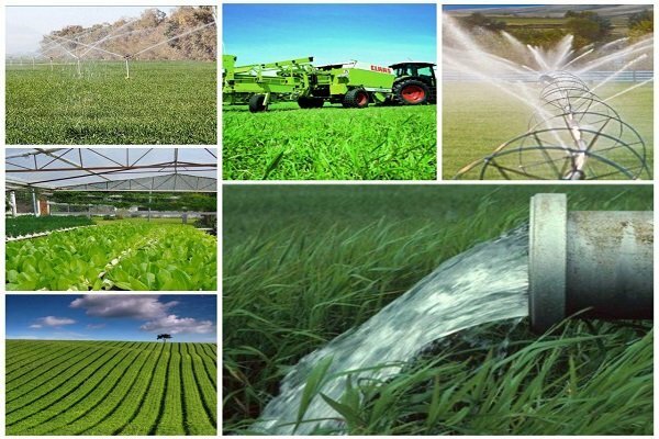 تازه ترین جزئیات از پرداخت وام اشتغال روستایی