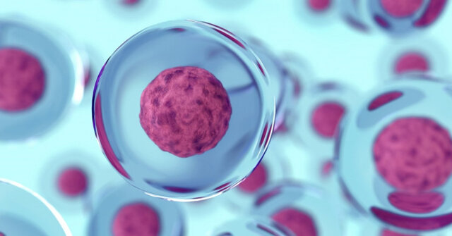 فرآورده‌های سلولی؛ از کمک به تشخیص سرطان تا مطالعات درباره کرونا