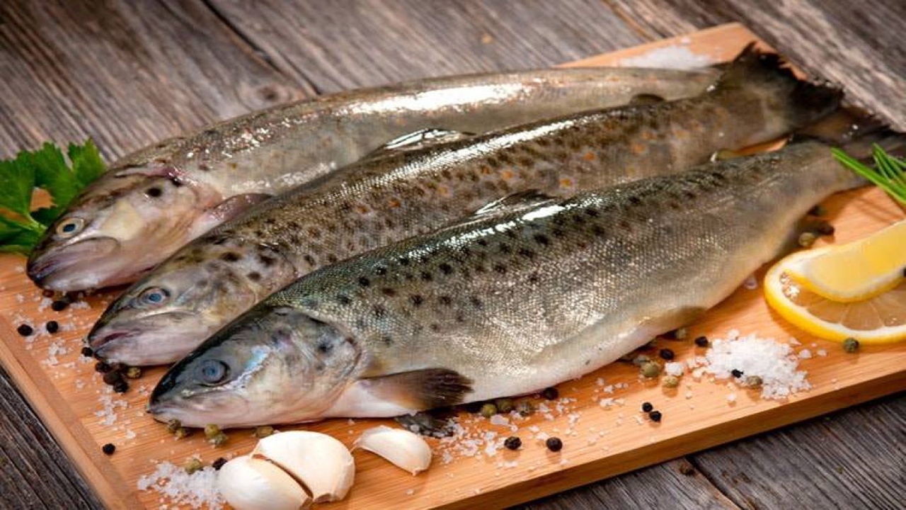 آیا با مصرف ماهی می‌توان خطر ابتلا به کرونا را کاهش داد؟