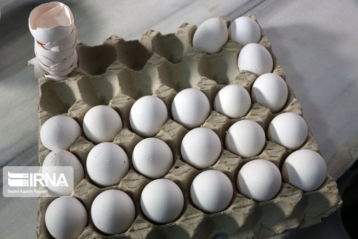 نرخ تخم‌مرغ به‌جای قیمت‌گذاری دستوری، با عرضه و تقاضا متعادل شود