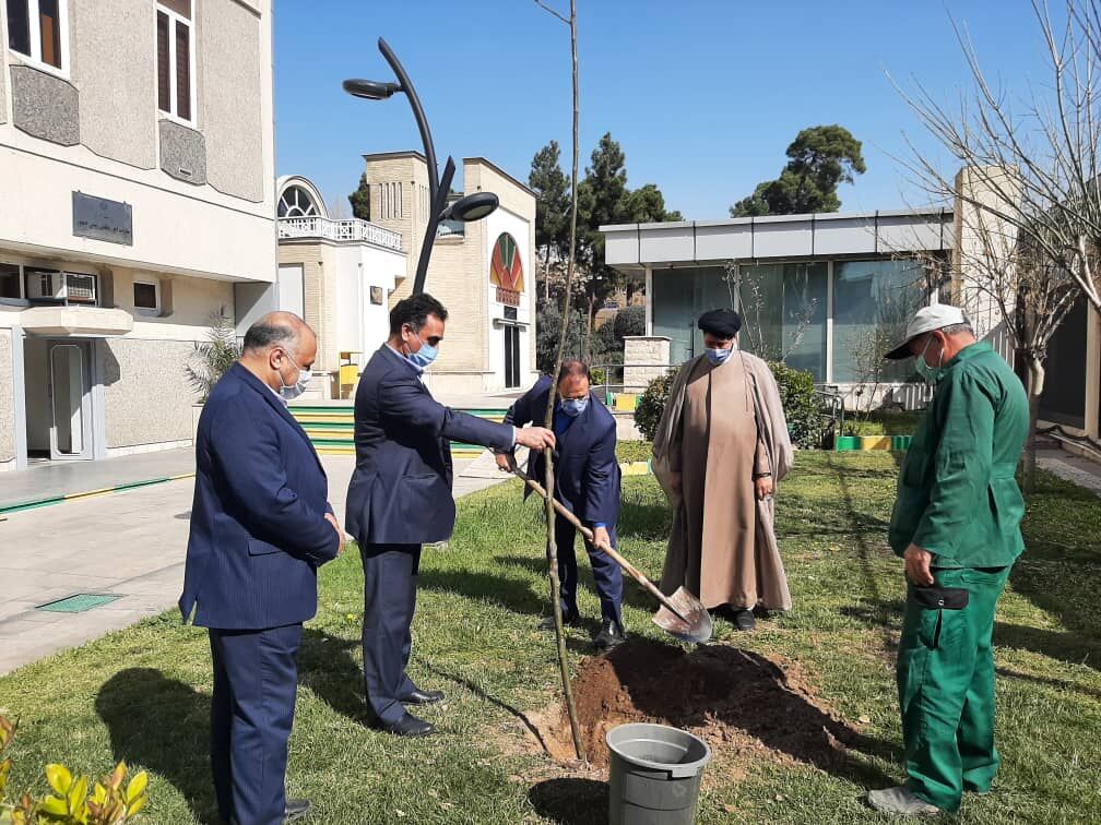 امیدواریم سنت حسنه درختکاری به شکل یک نهضت در کشور ادامه یابد 