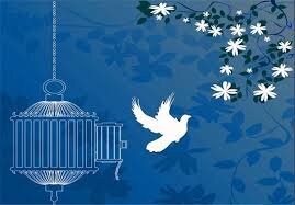 آزادی بیش از سه هزار نفر از زندانیان غیر عمد با تلاش بسیج 