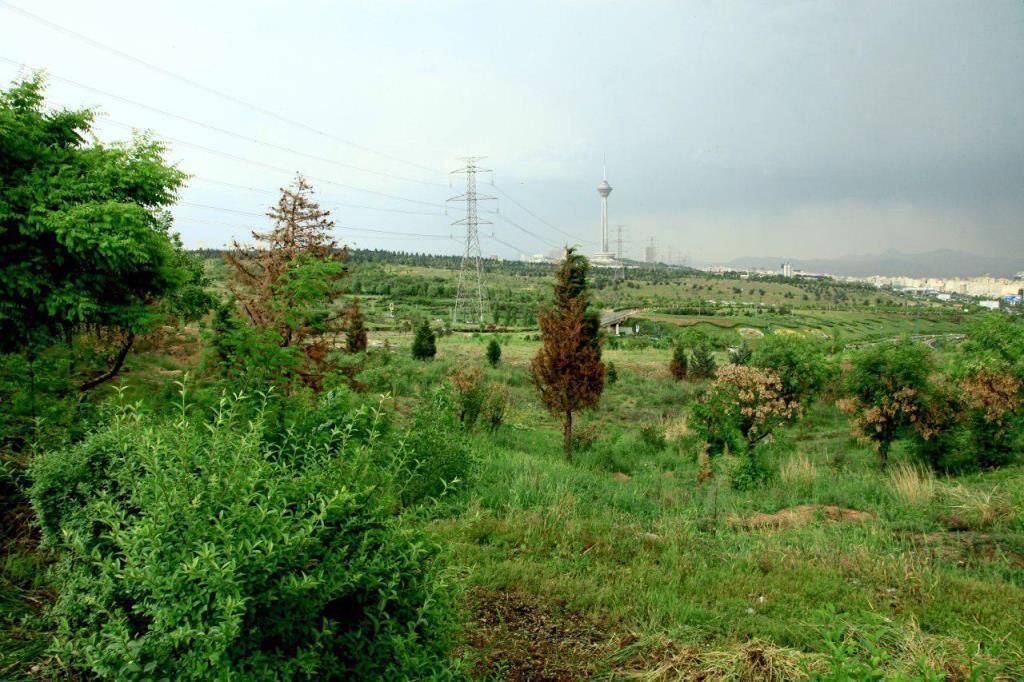 پارک پردیسان تعطیل شد