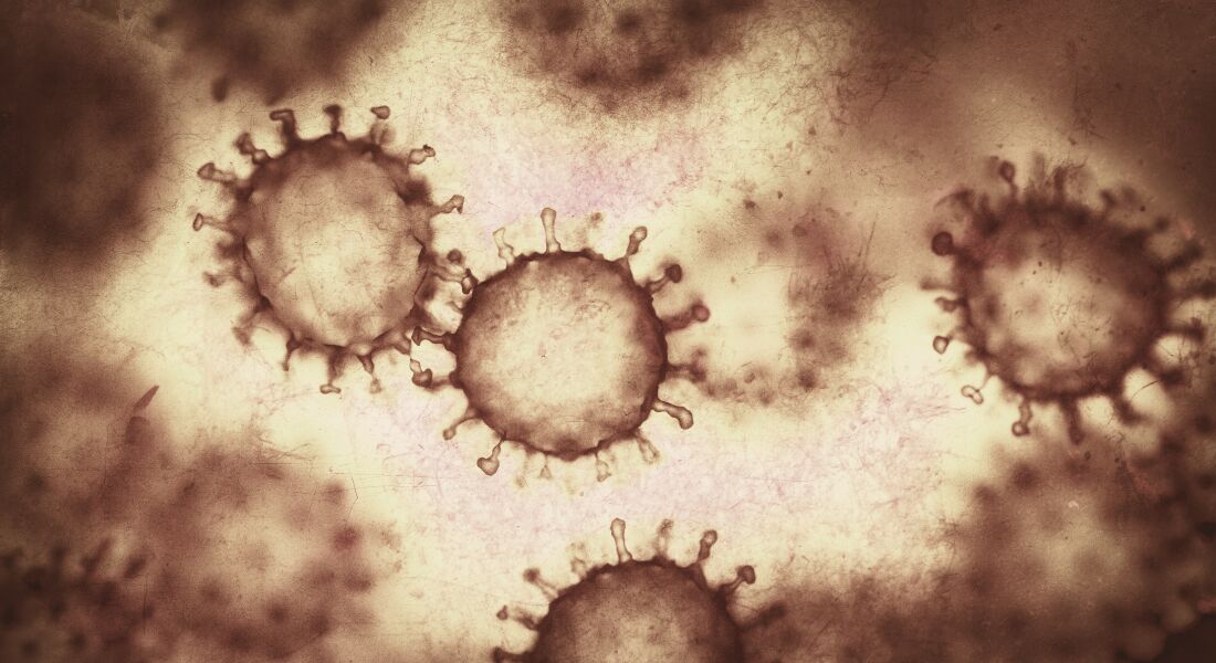 ویروس‌ها و باکتری‌ها از طریق قندها سلول‌های بدن ما را آلوده می‌کنند