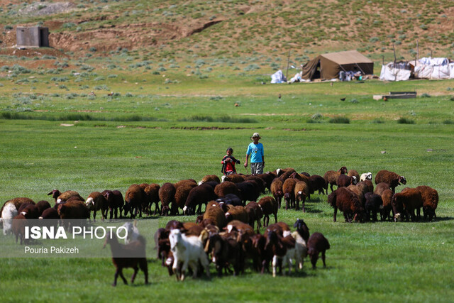 زمان‌بندی کوچ عشایر اعلام شد؛ ۳۰ فروردین تا ۲۰ اردیبهشت