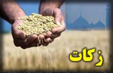 «زکات» پرداختی با جهش ۱۰۴ درصدی مرز ۱۳۰۰ میلیارد را رد کرد