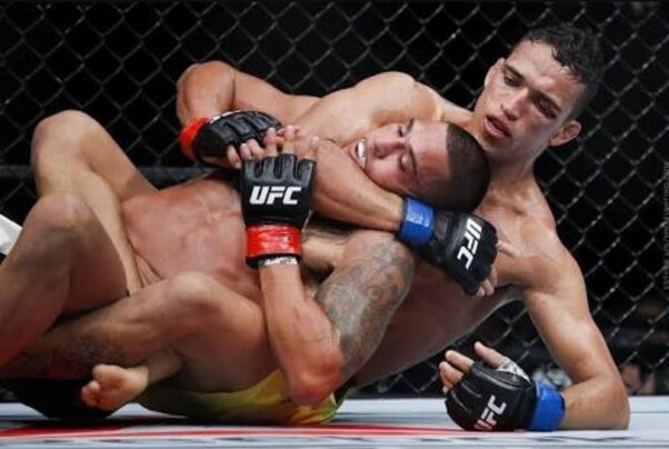 برخورد جدی وزارت ورزش با فعالیت های غیرقانونی MMA