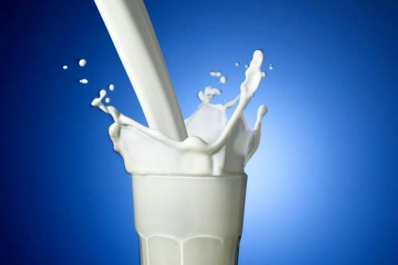 وضعیت مصرف شیر و لبنیات در کشور نگران کننده است 