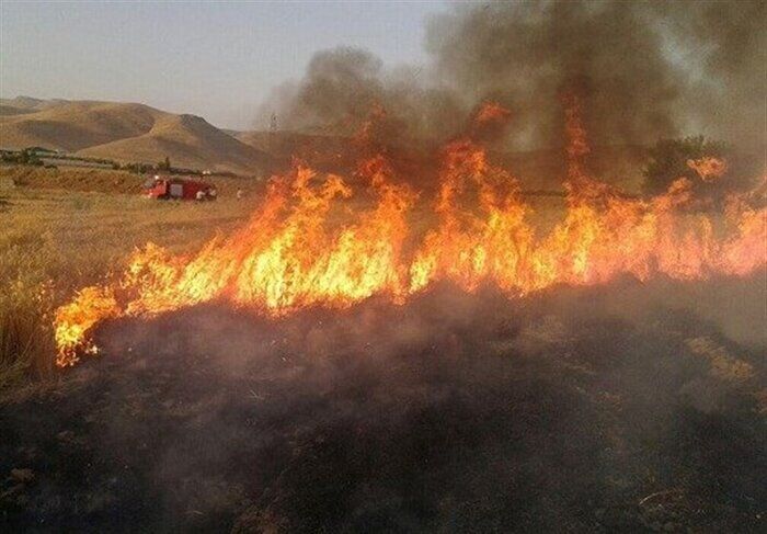 آتش سوزی در منطقه پیرداود شهرستان ورزقان در کنترل است