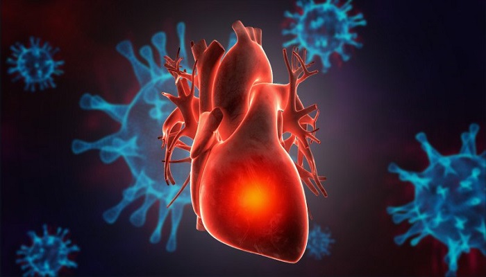 نقش سلامت قلبی‌عروقی در مقابله با کووید-19